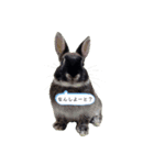 わがやのチョコミントちゃん（個別スタンプ：18）