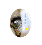 わがやのチョコミントちゃん（個別スタンプ：38）