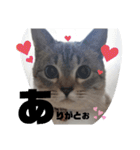 あさりちゃん登場（個別スタンプ：5）