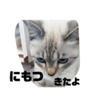 あさりちゃん登場（個別スタンプ：6）