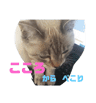 あさりちゃん登場（個別スタンプ：7）