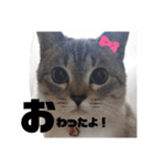 あさりちゃん登場（個別スタンプ：13）