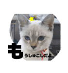 あさりちゃん登場（個別スタンプ：18）