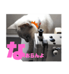 あさりちゃん登場（個別スタンプ：19）