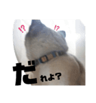あさりちゃん登場（個別スタンプ：24）