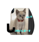 あさりちゃん登場（個別スタンプ：25）