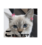 あさりちゃん登場（個別スタンプ：35）
