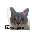あさりちゃん登場（個別スタンプ：36）