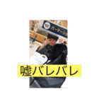 40代～50代の主婦用LINEスタンプ（個別スタンプ：29）