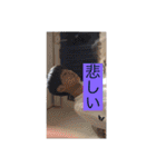 40代～50代の主婦用LINEスタンプ（個別スタンプ：36）