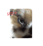 動物で表現（個別スタンプ：3）