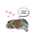 動物で表現（個別スタンプ：6）