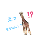 動物で表現（個別スタンプ：8）