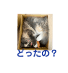 エリ姫の日常①（個別スタンプ：5）