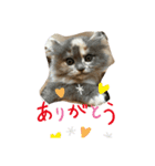 エリ姫の日常①（個別スタンプ：8）
