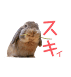 たれみみちゃんねる せきとスタンプ（個別スタンプ：18）