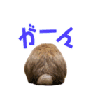 たれみみちゃんねる せきとスタンプ（個別スタンプ：32）