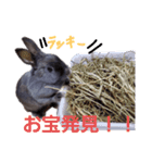 我が家そらの日常（個別スタンプ：8）