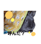 我が家そらの日常（個別スタンプ：9）