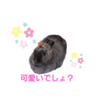 我が家そらの日常（個別スタンプ：13）
