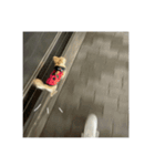 viviの8コマ（個別スタンプ：2）