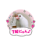☆文鳥ファミリー☆（個別スタンプ：6）