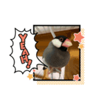 ☆文鳥ファミリー☆（個別スタンプ：7）