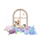 PONZ 3rd コーギーのぽんずスタンプ（個別スタンプ：25）