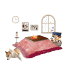 PONZ 3rd コーギーのぽんずスタンプ（個別スタンプ：30）