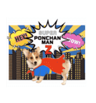 PONZ 3rd コーギーのぽんずスタンプ（個別スタンプ：35）