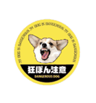 PONZ 3rd コーギーのぽんずスタンプ（個別スタンプ：38）