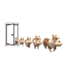 PONZ 3rd コーギーのぽんずスタンプ（個別スタンプ：39）