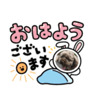 トイプードルボビー①（個別スタンプ：1）