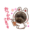 トイプードルボビー①（個別スタンプ：10）