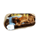 るいの1日（個別スタンプ：2）