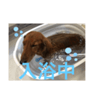 るいの1日（個別スタンプ：5）