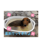 るいの1日（個別スタンプ：10）
