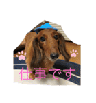 るいの1日（個別スタンプ：11）