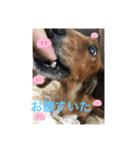 るいの1日（個別スタンプ：13）