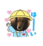 るいの1日（個別スタンプ：14）