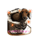 るいの1日（個別スタンプ：16）