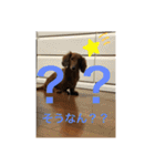 るいの1日（個別スタンプ：17）