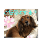 るいの1日（個別スタンプ：18）