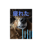 るいの1日（個別スタンプ：23）