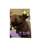 るいの1日（個別スタンプ：24）
