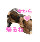 るいの1日（個別スタンプ：26）
