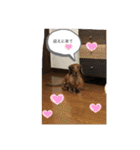 るいの1日（個別スタンプ：27）
