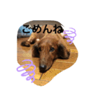 るいの1日（個別スタンプ：30）