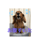 るいの1日（個別スタンプ：31）
