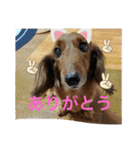 るいの1日（個別スタンプ：32）